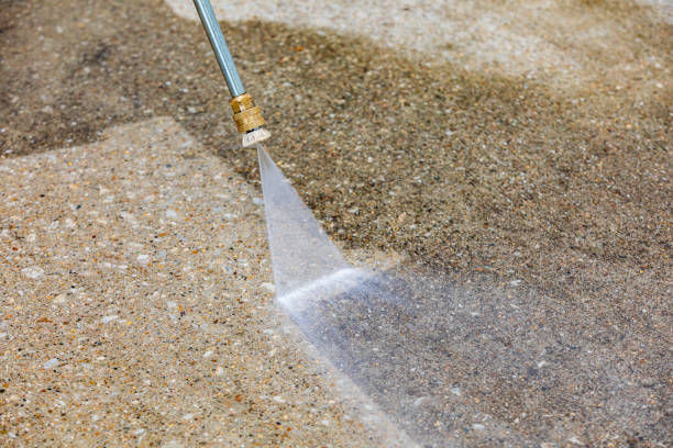 Animal Enclosure Cleaning in Westwood, NJ